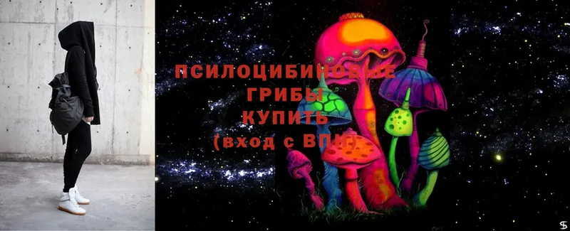 Псилоцибиновые грибы Magic Shrooms  даркнет сайт  Кремёнки 